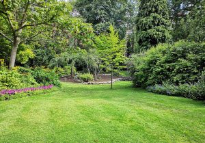 Optimiser l'expérience du jardin à Etrigny