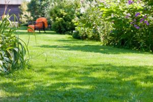 travaux jardin et paysage Etrigny